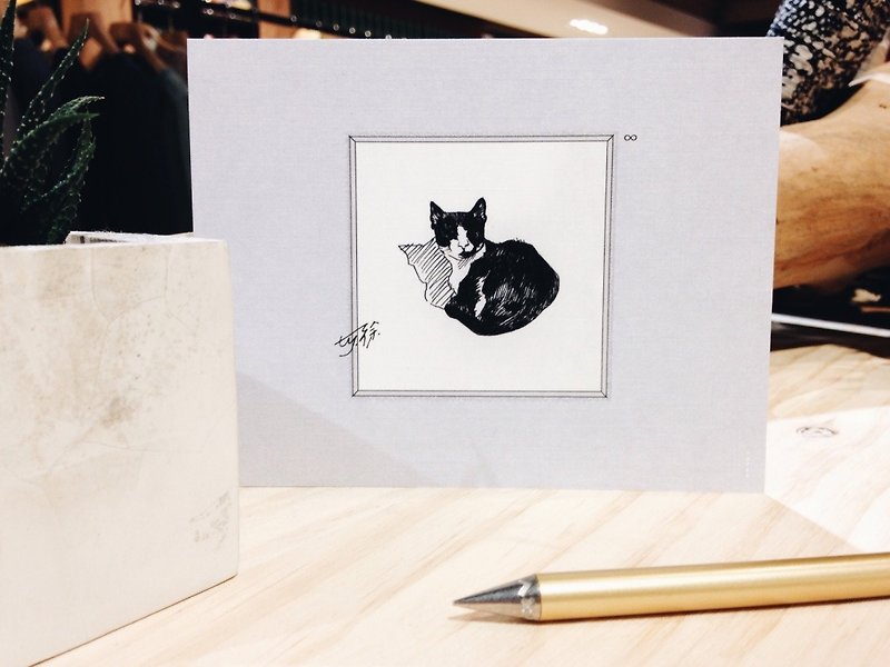 Sunshine nap,   Stray Cat: Postcards Cards/ A card= A donation - การ์ด/โปสการ์ด - กระดาษ สีเทา