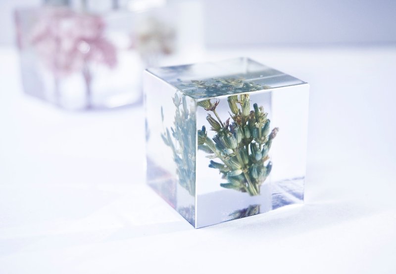 Lavender - three-dimensional square dried flowers decoration - จัดดอกไม้/ต้นไม้ - พืช/ดอกไม้ สีเขียว