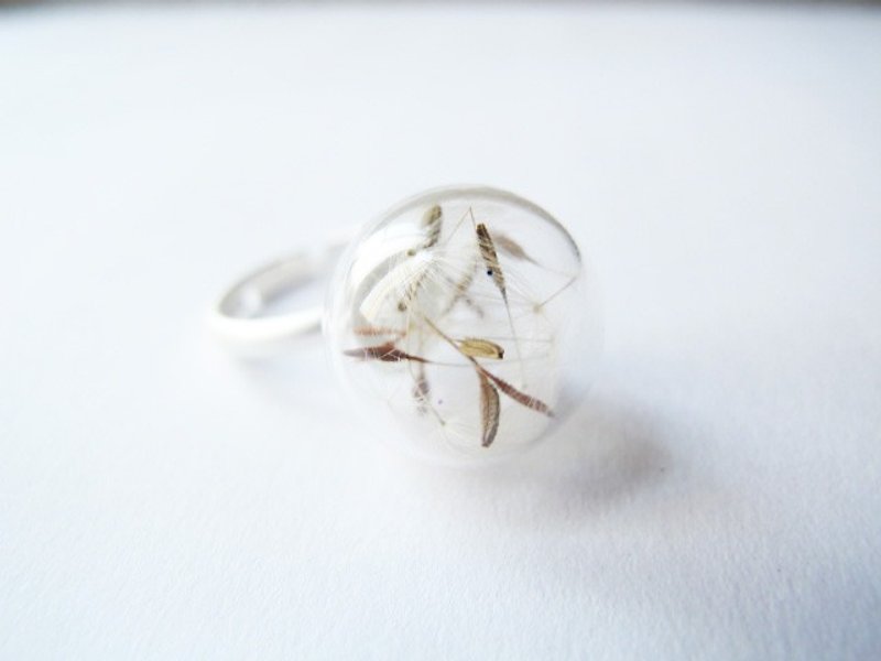 ＊Rosy Garden＊Dandelion inside glass ball ring - แหวนทั่วไป - พืช/ดอกไม้ ขาว