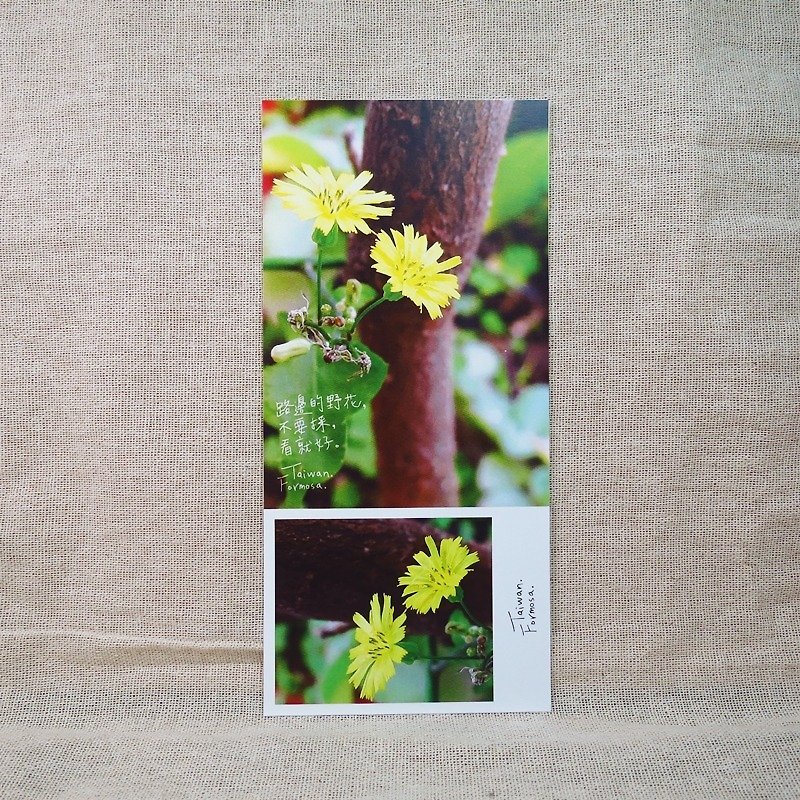 [Stub Postcard] - Wildflowers - Valentine's Day Recommended - Cards & Postcards - Paper Green