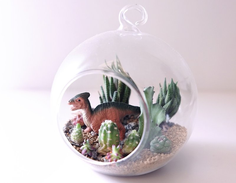 <Dinosaurs and desert> Succulents potted glass dinosaur Jurassic desert <Dinosaurs and desert> Succulents - Plants - Glass Green