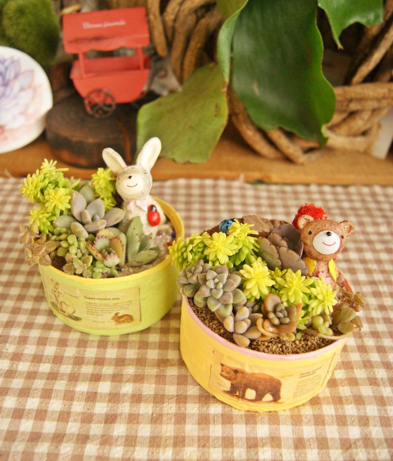 X Creative green landscape little small planting canned tuna - Plants & Floral Arrangement - Plants & Flowers 