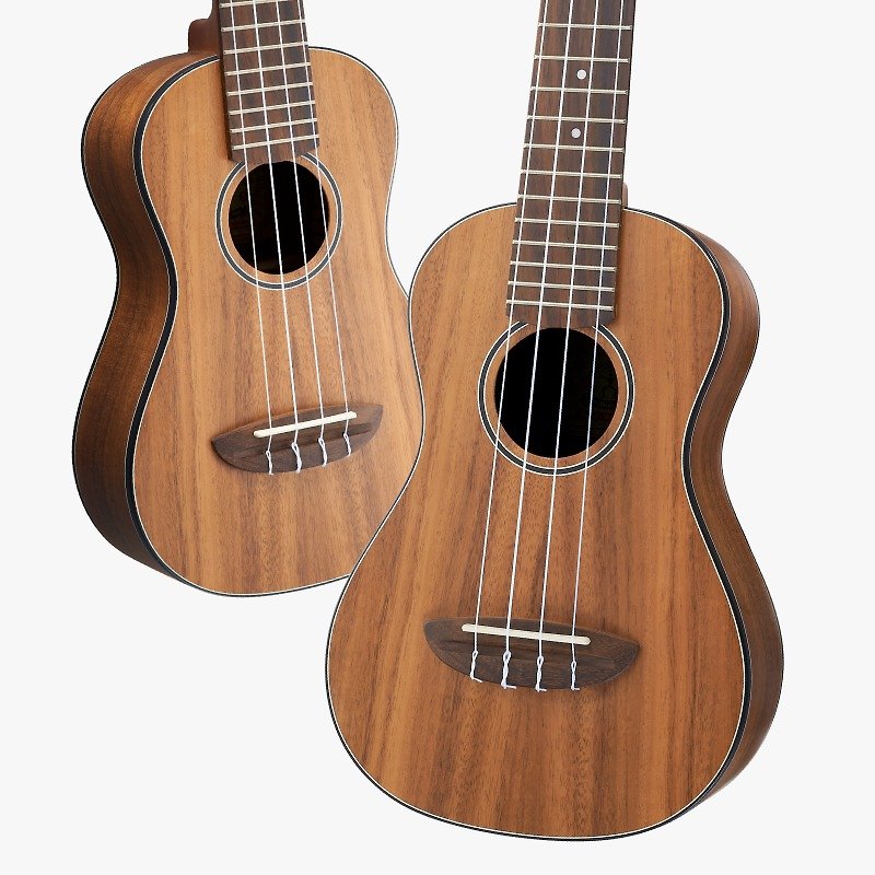 Mini C Koa｜Mini Concert｜aNueNue Ukulele - Guitars & Music Instruments - Wood Brown