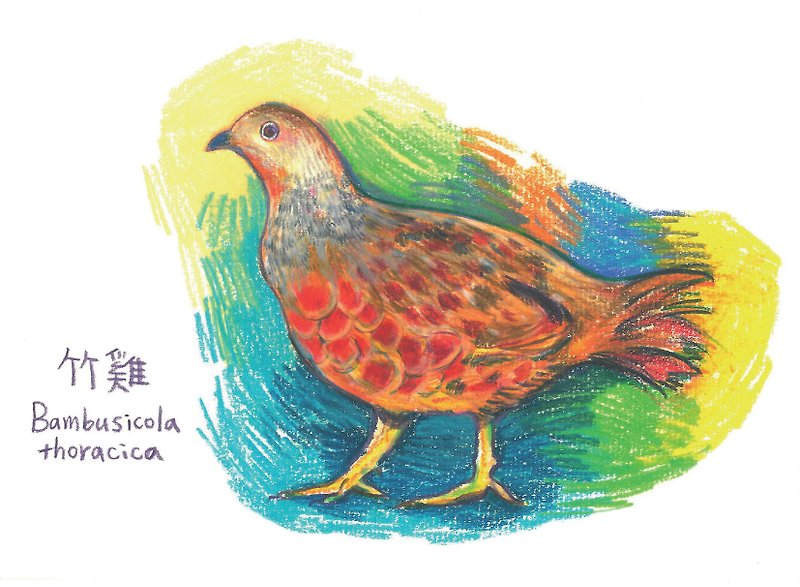 Bamboo chicken painted postcards - Cards & Postcards - Paper Multicolor