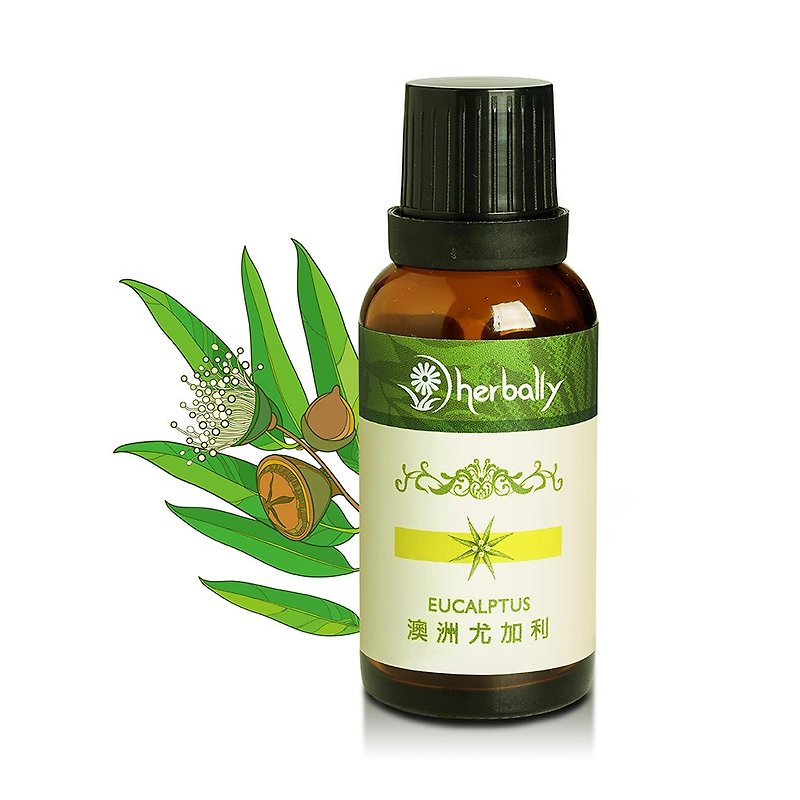 [Herbal True Feelings] Australia Eucalyptus (unilateral essential oil 30ml) (P3971938) - Fragrances - Other Materials Green