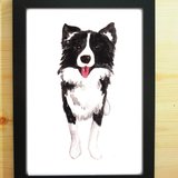 小狗 边境牧羊犬 水彩 手绘 插画 复制画 海报 a4