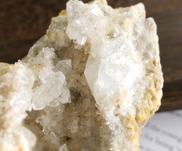 黄金の樹枝状歯方解石 黄金の樹枝状歯方解石 カルサイト(方解石)犬牙状結晶 母岩付き