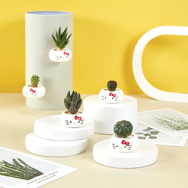 【Office Magnets】Hello Kitty Mini Magnet Potted Plants Table Potted Plants/Healing Small Objects/Plant Plants - ตกแต่งต้นไม้ - พลาสติก ขาว