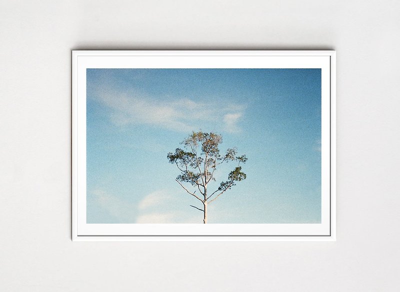 NO.03【Be a tree in the next life】Photography hanging/film poster/pictorial - Posters - Paper White