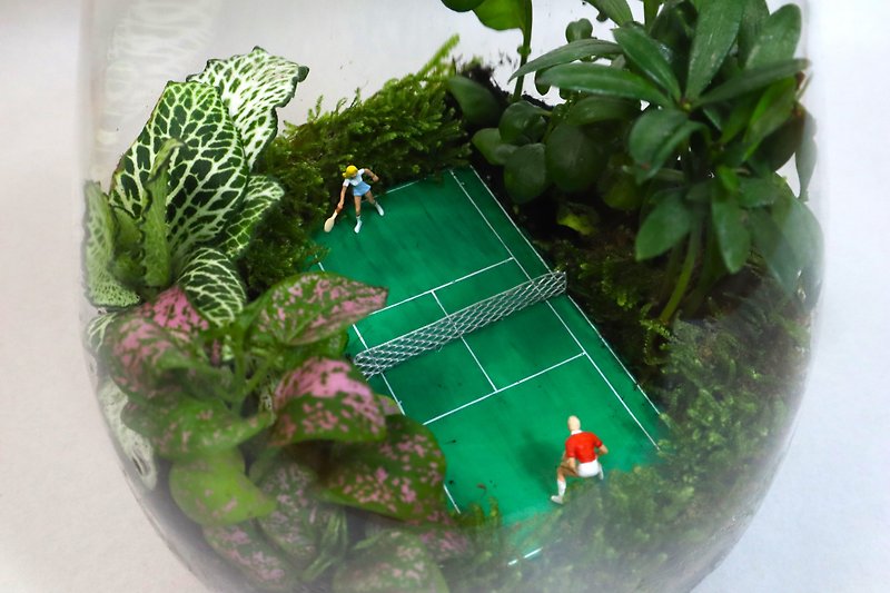 [Micro Landscape] Mossheng Cup Tennis Open-Tennis/Micro Landscape/Indoor Potted Plants/Birthday Gift - ตกแต่งต้นไม้ - แก้ว สีเขียว
