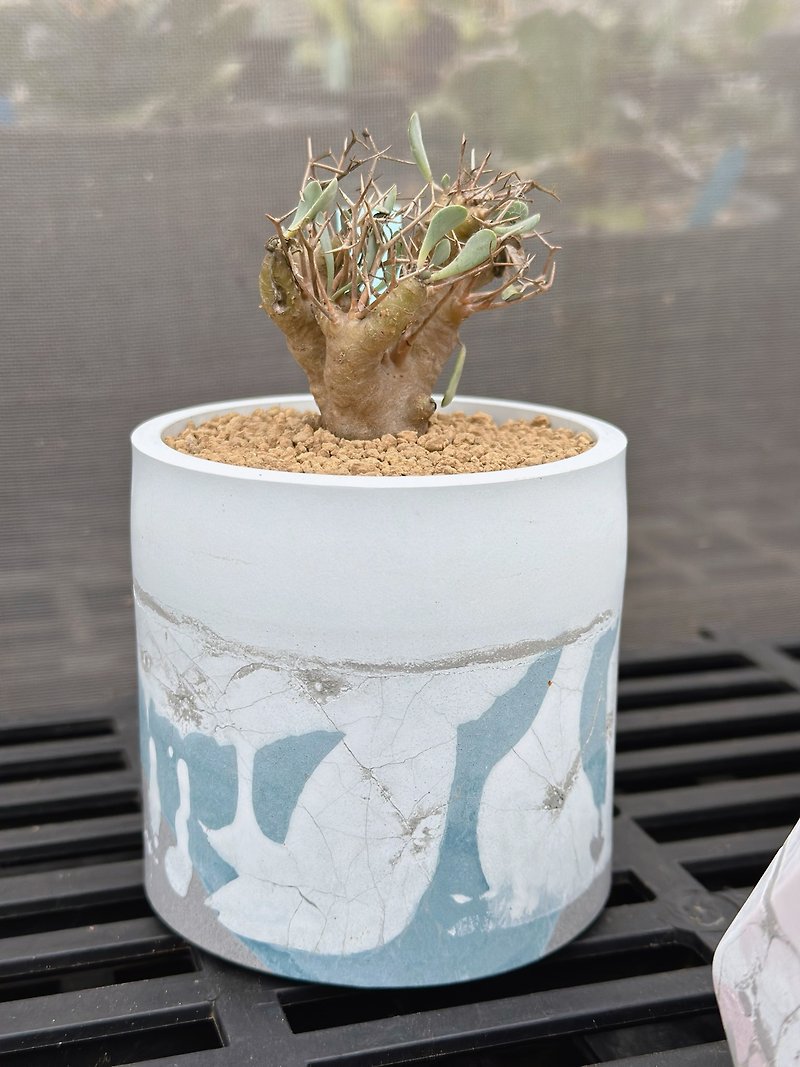 In stock//Heiguidian round crack pot Morandi blue lucky potted root plant - Plants - Cement Blue