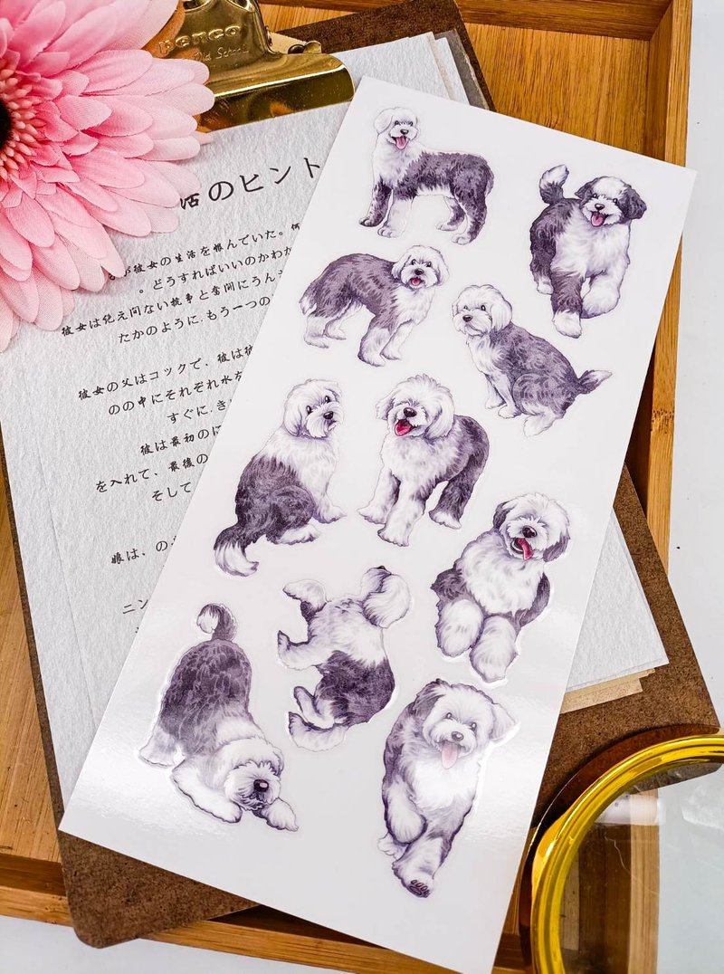 5K070-21_五口美-乾式轉印貼紙_ I am pretty Transfer Sticke - 貼紙 - 其他材質 多色