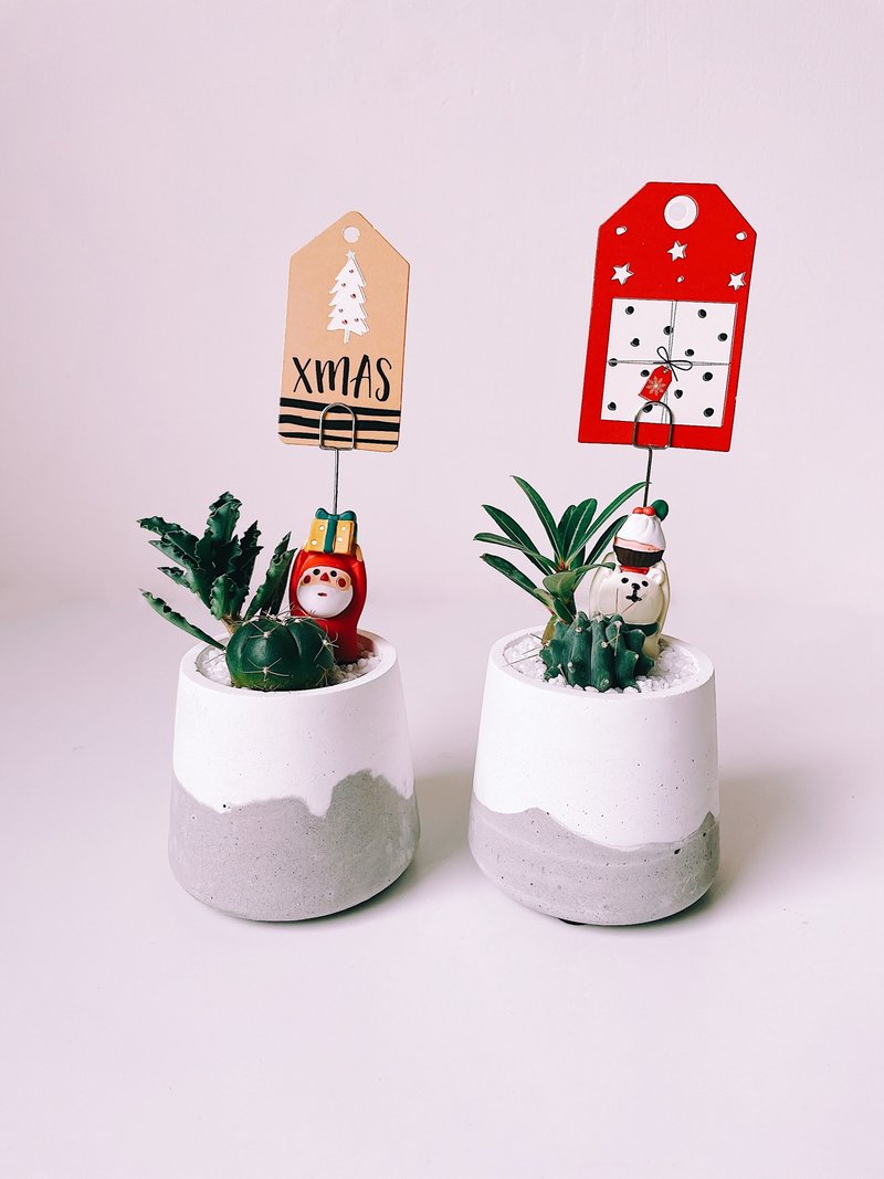 Fat Pot-Succulent / Cactus Group Cement Potted Plants - ตกแต่งต้นไม้ - ปูน สีเทา