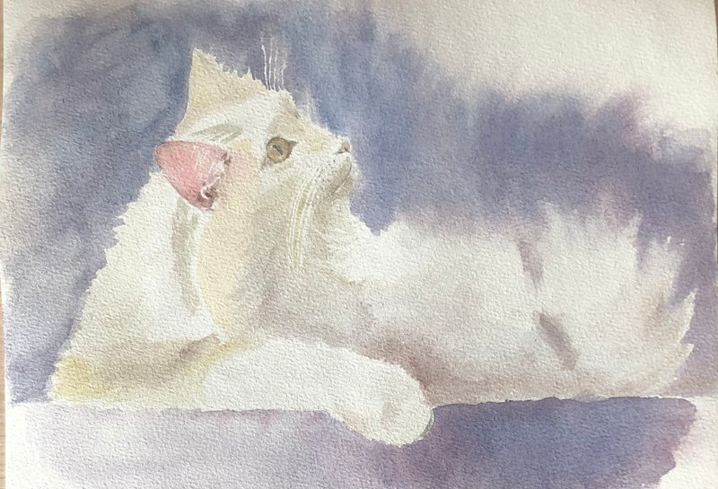 White Cat original watercolour painting animal portrait wall art - ตกแต่งผนัง - กระดาษ ขาว