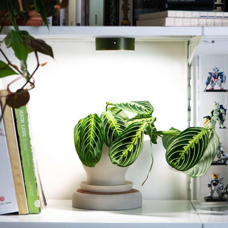 ONF MIST O グロー ミストグリーンフルスペクトル LED 磁気植物ランプ 屋内植物の植栽用 - 照明・ランプ - その他の素材 ブラック