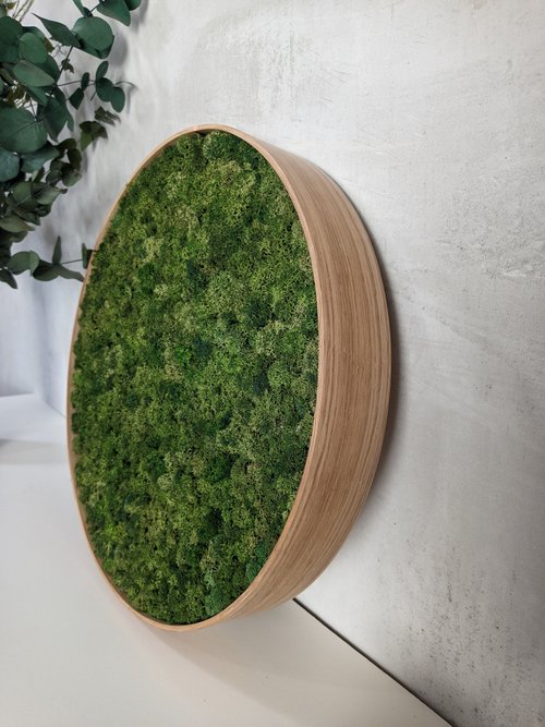 Moss wall clock, moss decor, green decor, eco decor - Shop GreenDecorFlorAl  Clocks - Pinkoi