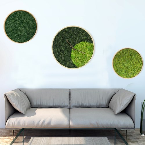 Moss wall clock, moss decor, green decor, eco decor - Shop GreenDecorFlorAl  Clocks - Pinkoi