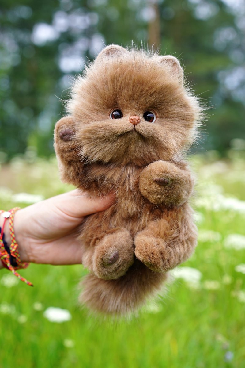 Pomeranian puppy Brownie - 公仔/玩偶 - 其他材質 咖啡色