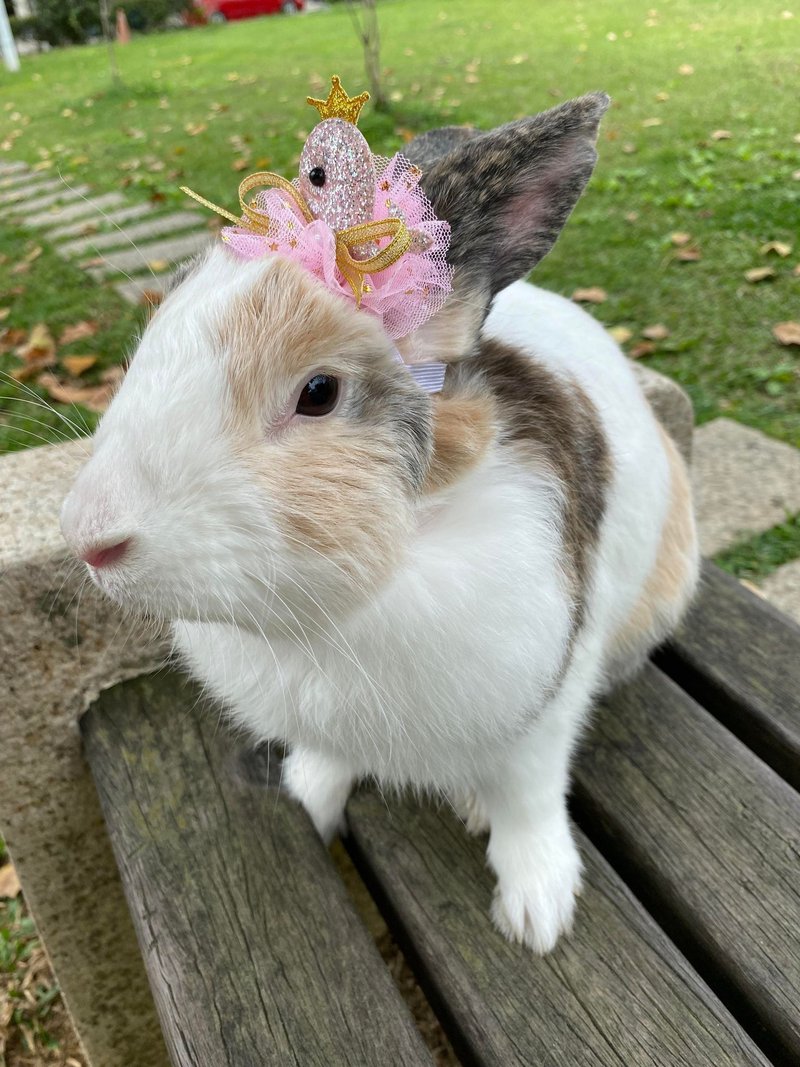Q1-handmade pet birthday hat pet hair accessories headgear bunny leash accessories bunny wreath - Clothing & Accessories - Other Materials Multicolor
