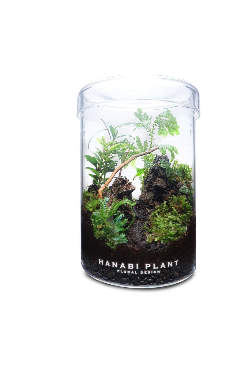 [Customized] Fernxing Classic Eco Bottle - Classic Straight (Small) - Plants - Glass 