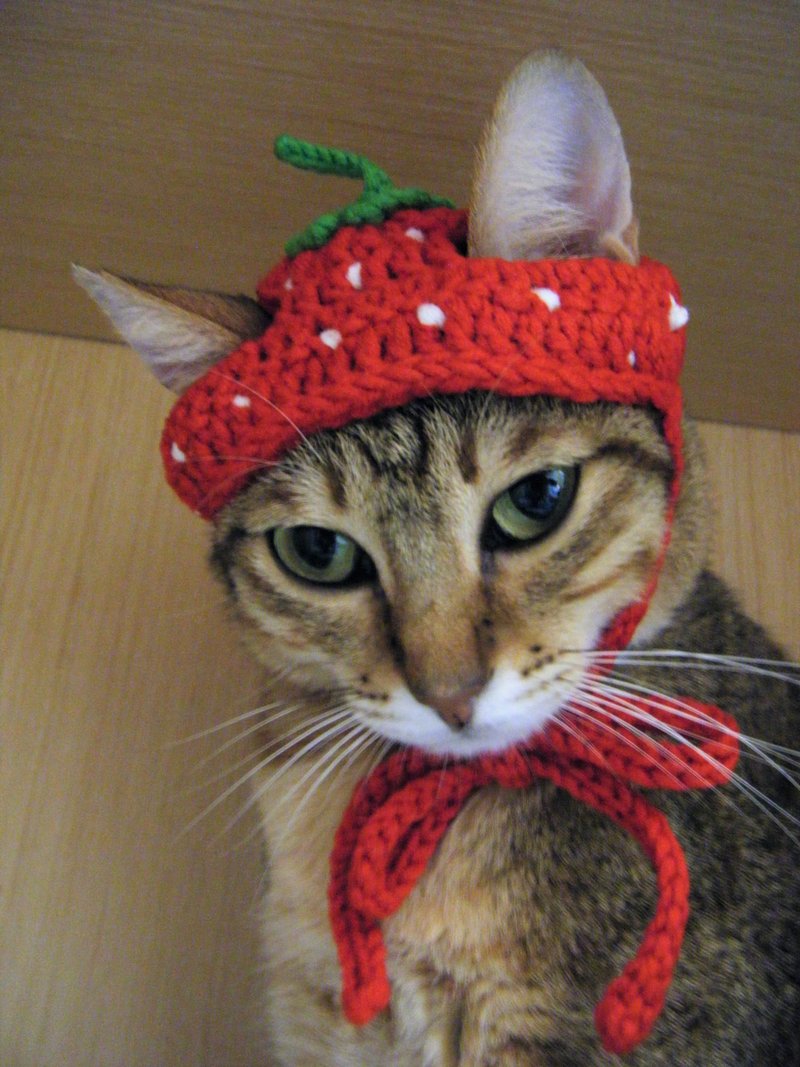 Wool knitted cat and dog hat fruit pet hat strawberry - Clothing & Accessories - Other Materials Red