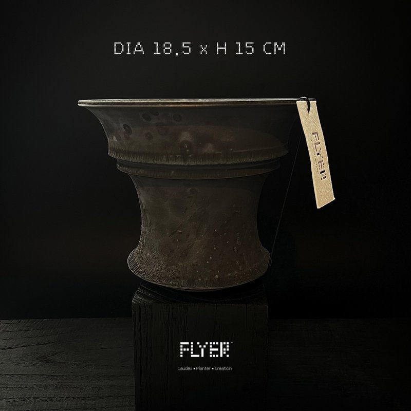 FLYER 塊根多肉植物陶盆器 龍舌蘭象牙宮象足漆樹盆器 - 花瓶/花器 - 陶 黑色