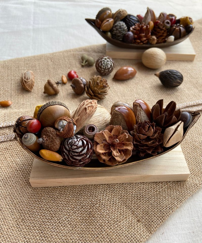 Seed boat DIY material package/with teaching video + paper manual/dried fruit - Plants & Floral Arrangement - Plants & Flowers 