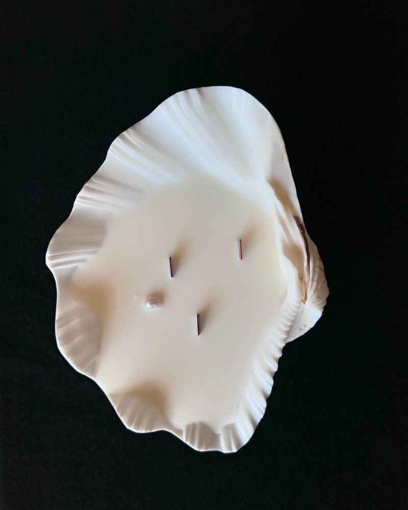 About Xiaosan’s San Diego shell candle-8 - Fragrances - Shell White