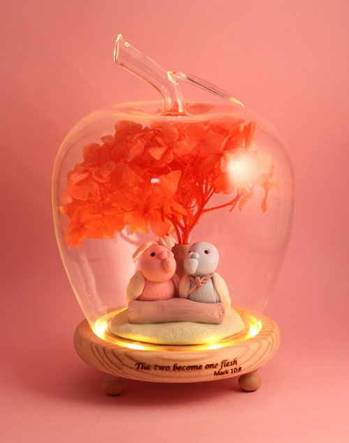 deexplorerworkshop 情人節小禮品,結婚小鳥系列,內有LED燈效,最貼心的情人節禮物