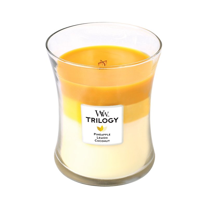 WW 10oz. Triple fragrance cup wax - summer fruit feast - เทียน/เชิงเทียน - ขี้ผึ้ง หลากหลายสี