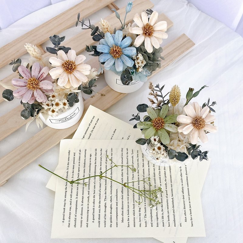 Tranquil Hours Small Daisy Potted Flower Preserved Flower - Dried Flowers & Bouquets - Plants & Flowers Khaki