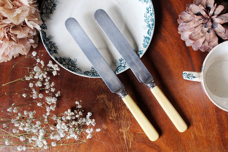 Silver Plated Celluloid Handle Antique Cream Knife / Spatula C Single Handle for Sale - ช้อนส้อม - เงิน 