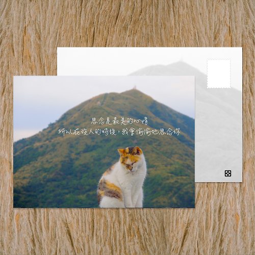 臺灣明信片製研所 - 啵島 Lovely Taiwan Postcard No.B18明信片 / 偷偷思念你 / 任選買10送1