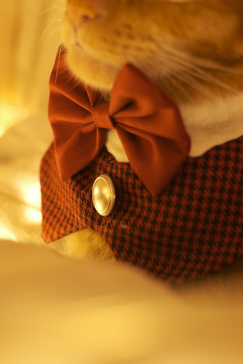Petit mandana /聖誕限定 Christmas Edition/ 寵物禮服貴族西裝領 紅色千鳥格
