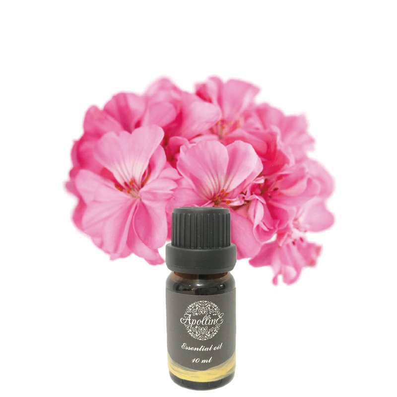 天竺葵精油 GERANIUM - 香氛/精油/擴香 - 精油 