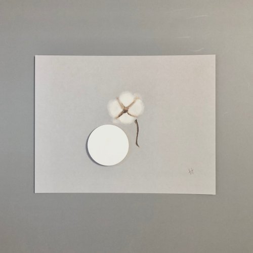 V.N Art Design V.N【紀念系列-木棉花】會擴香的明信片【客製化禮物/情人節禮盒
