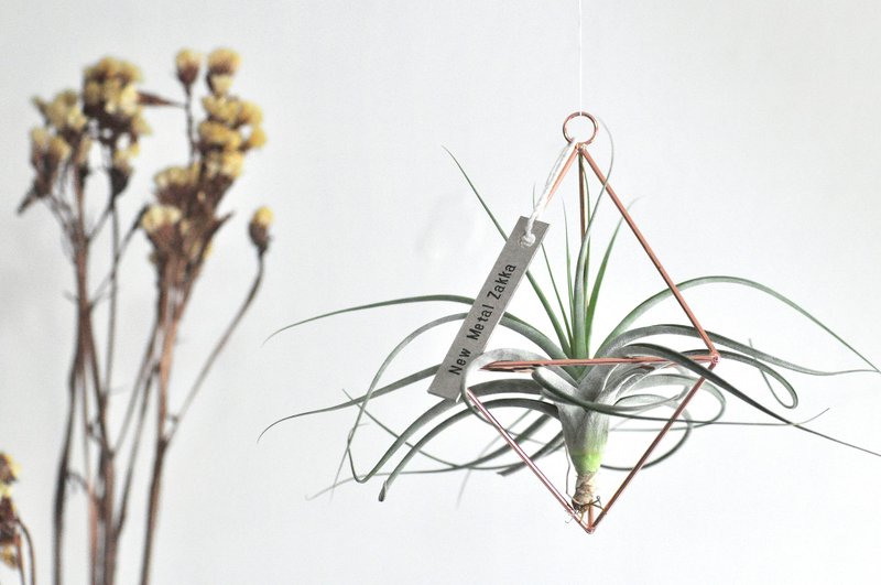 空氣鳳梨/漂浮掛飾/三角型/玫瑰金色/小 - 盆栽/植栽 - 其他金屬 金色