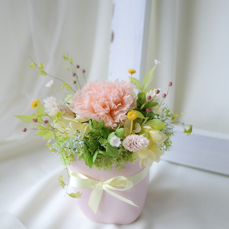 [Small potted flowers] potted plants/green/without flowers/immortal flowers/dry flowers/Chinese Valentine’s Day/Valentine’s Day/Mother’s Day - ตกแต่งต้นไม้ - พืช/ดอกไม้ สีส้ม