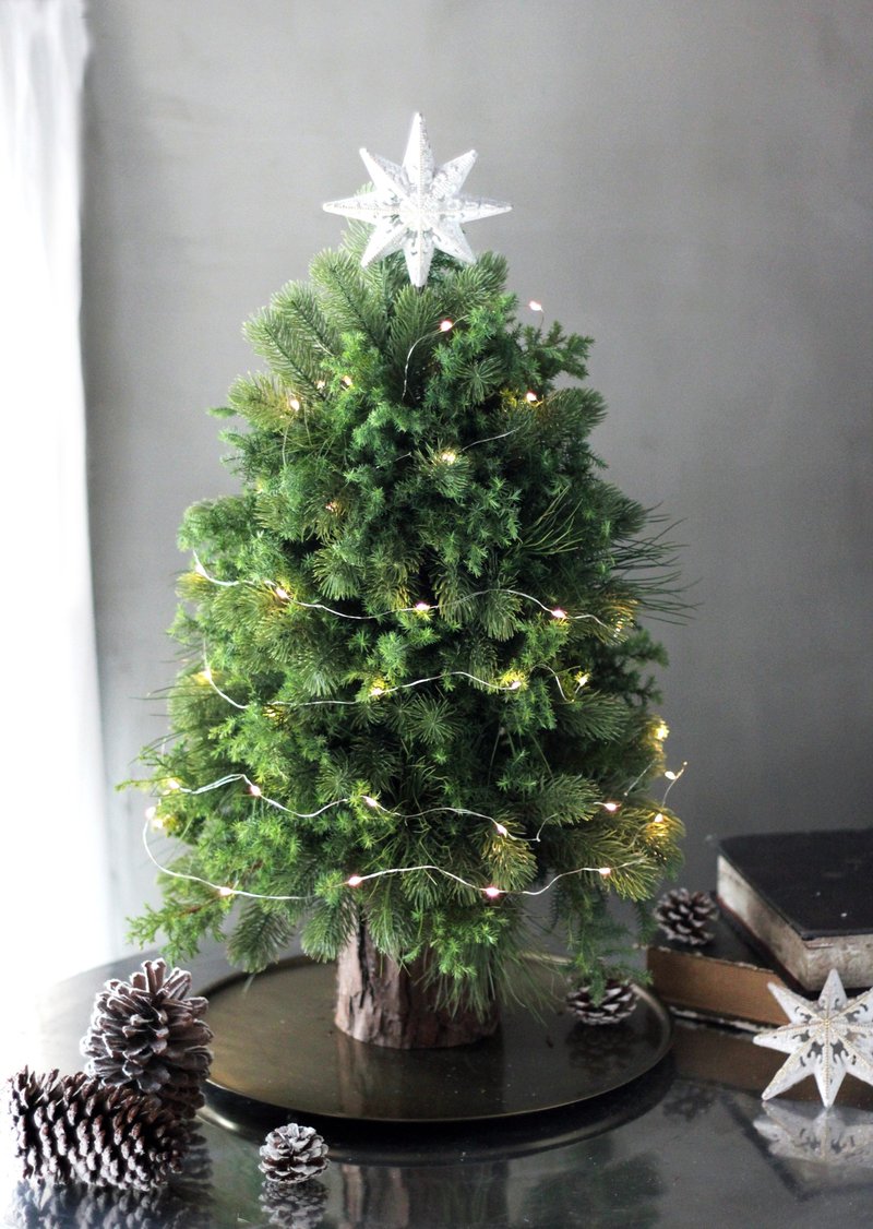 Fresh Noble Fir [Large] Natural Noble Fir Noble Fir Christmas Tree - ตกแต่งต้นไม้ - พืช/ดอกไม้ หลากหลายสี