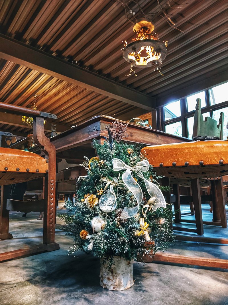 【Customized Items】Exclusively Sold Luxurious Large Christmas Tree Home with Christmas Party - Plants - Plants & Flowers Green