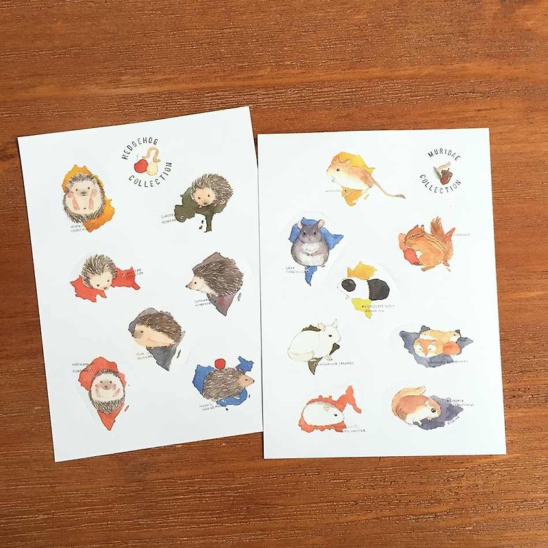 Shine Limited waterproof stickers watercolor illustrations of animals - hedgehogs Shushu - Stickers - Paper 