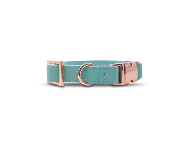 dog collar with gold hardware