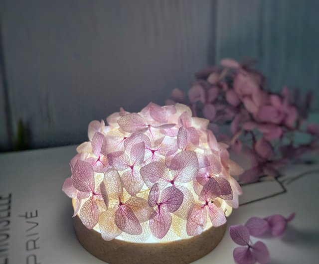 紫陽花デザートパープルライト 紫陽花デザートパープルライト