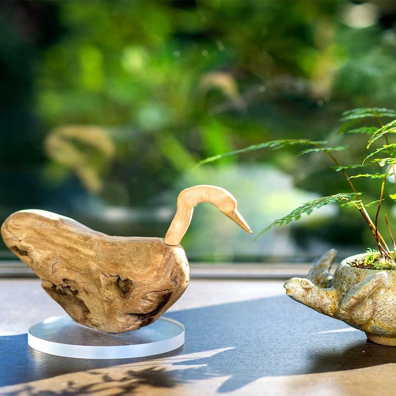 To the flapping world Driftwood bird, wooden bird, ornamental bird, bird object, - Items for Display - Wood Brown