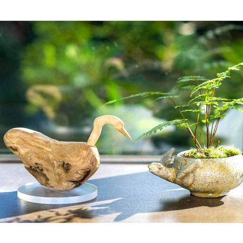 ★ 天然木の置物 鳥の剥製2羽付き インテリア ☆ 天然木の置物 鳥の剥製2羽付き インテリア ☆ 天然木の置物 鳥の