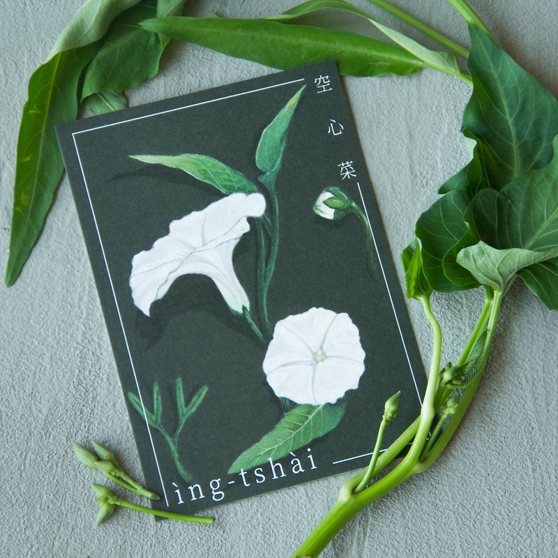 botanical postcards-Water spinach - Cards & Postcards - Paper Green