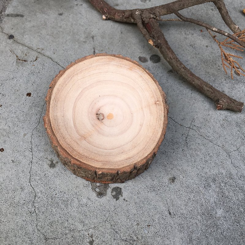 Plate-Camphor Wood-B - ของวางตกแต่ง - ไม้ 