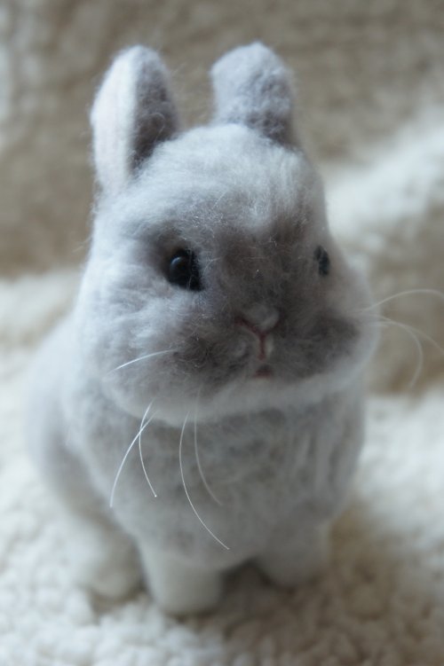Mo Mo Bunny Handcraft 客製化寵物訂製羊毛氈兔兔 (10cm)有已成天使優惠 請勿直接下單