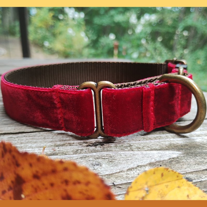 Velvet Red Adjustable Martingale Dog Collar - 項圈/牽繩 - 聚酯纖維 紅色