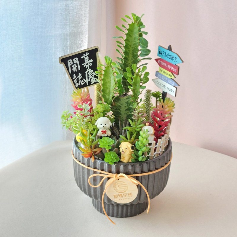 PD183 Dog Doll Succulent Cactus Potted Plant/Congratulation Planting Shaped Potted Plant - ตกแต่งต้นไม้ - พืช/ดอกไม้ 